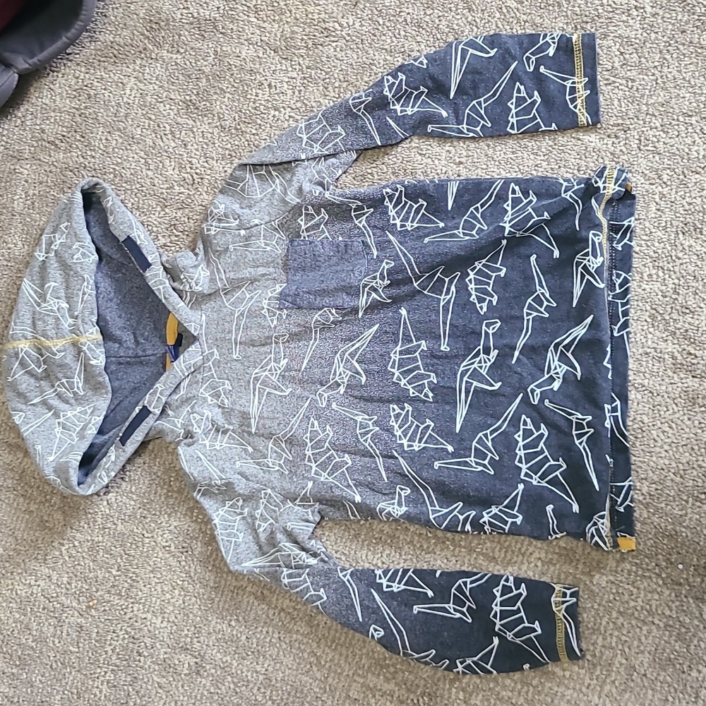 4T Dinosaur Pullover